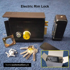 Electric Rim Lock for Main Gate